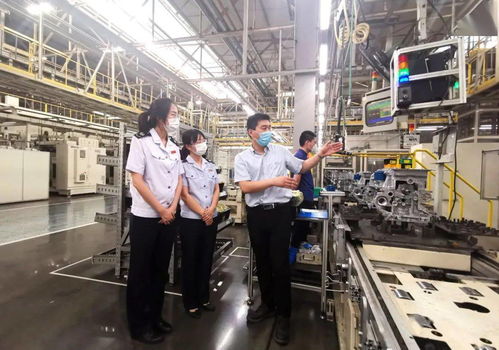 減稅費優服務，稅務部門助力企業揚帆海外高質量發展